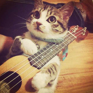 言嘉佑的作品网站
